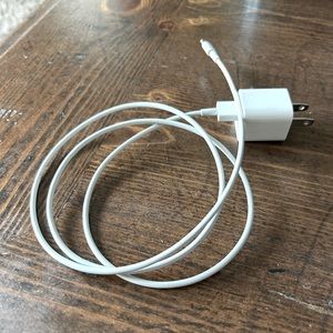iPhone charger